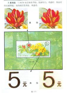 T.162M《杜鹃花》小型张