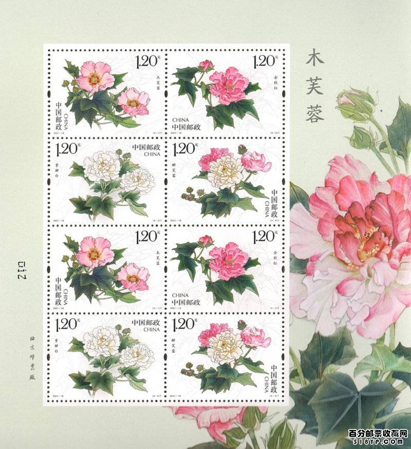 木芙蓉邮票